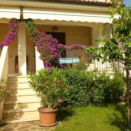 Micaene Luxury *